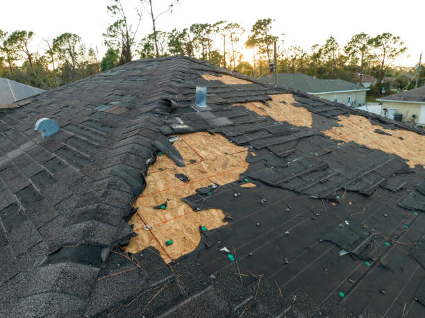 Best Gutter Installation and Repair  in Janesville, IA