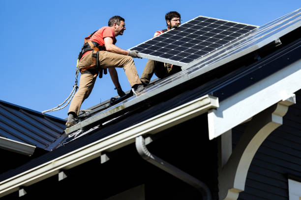 Best Roof Moss and Algae Removal  in Janesville, IA
