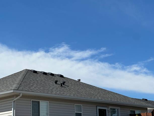 Best Roof Installation  in Janesville, IA