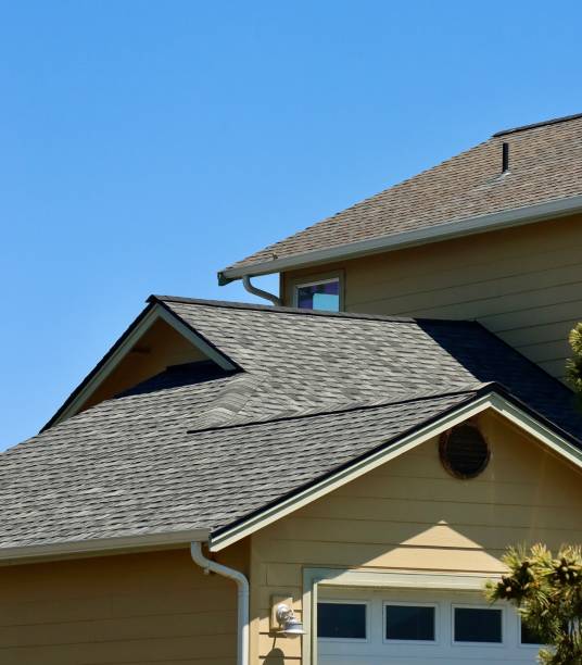 Best Skylight Installation and Repair  in Janesville, IA